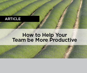 help team be more productive