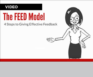 video link to FEED Model